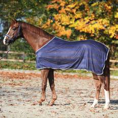 Kavalkade Stripe Fly Rug, DB/AB, 125