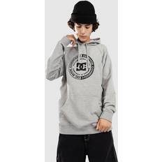 DC Sweatere DC Corpo Raglan Ph Hættetrøje heather grey