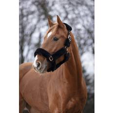 Horse Halters on sale EquiThème Halter for Horse Teddy Rose Gold - Noir