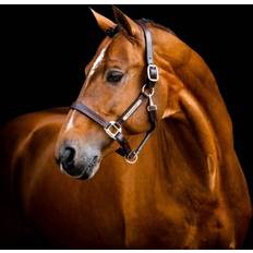 Horseware Grimer & Grimeskafter Horseware Signature Flettet Læder Grime