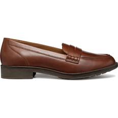 Homme - Marron Mocassins Geox Mocassins Femme Jaylon - Marron