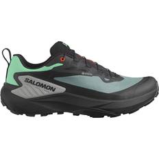 Salomon Laufschuhe Genesis Gore-Tex L47688300 Grau