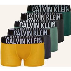 Green Boxer Shorts Children's Clothing Calvin Klein Boys Green Cotton Boxer Shorts (5 Pack) (12-14 year)