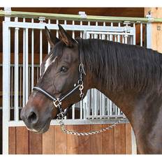 Cob Horse Halters Kerbl Halter Pony 2 Settings Mustang - Noir