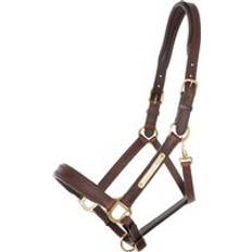 Kavalkade Horse Halter Cinta - Marron