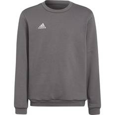 adidas adidas Performance Sweatshirt Grå adidas Performance år (176) Sweatshirt