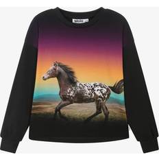 Molo Elastan Bluser & Tunikaer Molo Bluse Reniza Magic Sunset år (116) Bluse