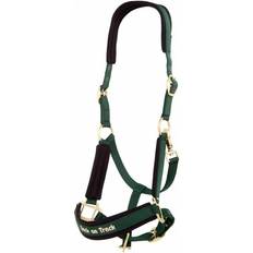 Longes et Licols Back On Track Halter Pony - Green