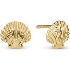Christina Øreringe Clam Shell