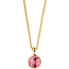 Rubiner Halsband Dyrberg/Kern Dyrberg/Kern Ette Sg Rose Halsband Guld
