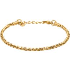 Guldpläterad - Rostfritt stål Armband Tom Morris Tom Morris Wheat Chain Armband kt. Guldpläterad Rostfritt Stål TM00015 Herr Gold (17 cm)