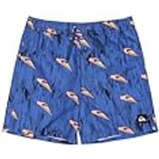 Quiksilver Boardshorts NÄSTA GEN VOLLEY YTH ungdom blå 16, Estate Blue Roots, År