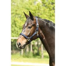 Full Grimmor Horse Guard Lea Grimma - Navy