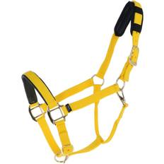 Nylon Paardensport Nylon halster met nubuck voering Daslö Jaune