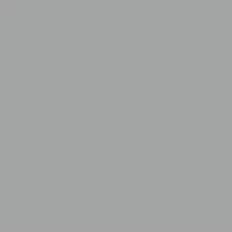 Savage Vinyl Photo Gray Grey Backdrop