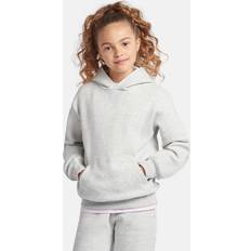 Huvtröja Brush Back Small Logo Hoodie - Grå