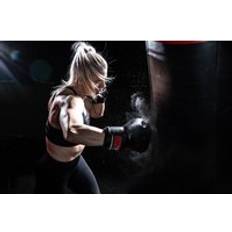 Martial Arts Gorilla Wear Mosby Boxing Gloves Black, 8oz
