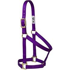 Purple Horse Halters Weaver Basic Nylon Halter Purple