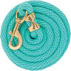 Weaver Weaver Leather Poly Lead Rope Mint, 5/8" x 10'