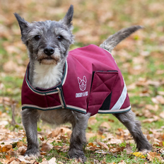 Shires Digby & Fox Waterproof Dog Coat