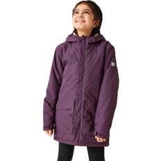 Purple Jackets Regatta Farbank Jacket