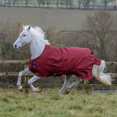 Bucas Freedom Turnout Light (Cherry/Navy, 165cm)