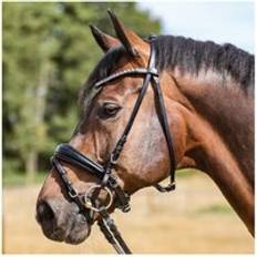 Hodelag Kavalkade Ayana KavalSH4 Bridle, Black