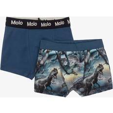 Blau Unterhosen Molo Boys Blue Cotton Dinosaur Boxers (2 Pack)