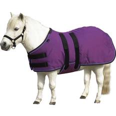 Equestrian Kensington Kensington 1200D Mini Turnout Purple