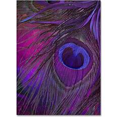 Trademark Fine Art Peacock Candy IV Graphic on Wrapped Canvas 32" H x 24" W x 2" D - Blue/Indigo Framed Art