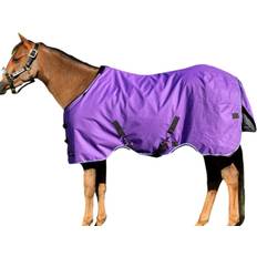 Horse Rugs Kensington Kensington 1200D Turnout Purple (84)