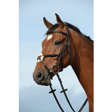 Equestrian Collegiate Syntovia Padded Raised Figure Bridle Black: Pony