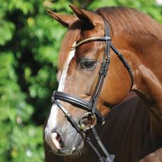 Marrón Bridas y Accesorios Kavalkade Clinchesse Bridle, Brown/Brass