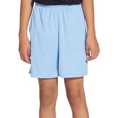 L Swimwear DSG Boys' All Purpose Training Short, Large, Academy Blue