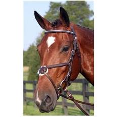 Bridles on sale Nunn Finer Figure Bridle