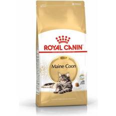 Royal Canin Adult Maine Coon Dry Cat Food 4 kg Bag