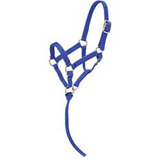 Horse Halters Tough Miniature Nylon Halter, Royal Blue, Mini