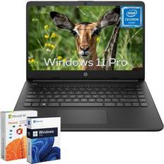 HP 14 Laptop Quad-Core N4120 8GB RAM 384GB Storage 128GB eMMC+256GB Micro SD