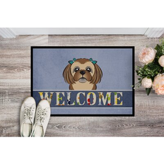 Entrance Mats BB1435JMAT Chocolate Outdoor Door Mat 24 x 36 in Blue, Pink, Green, White, Brown, Yellow