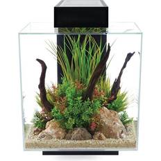 Fluval Edge 46 Liter Svart