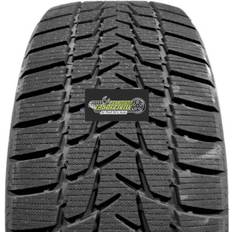 Radar Dimax Alpine BSW 195/65R15 91T
