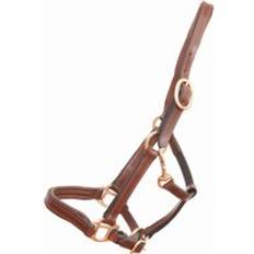 Marrone Barelle Cavezza per puledro o mini cavallo in cuoio T de T Marron