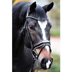 Brown Bridles Kavalkade Dressage bridle Charlotte crank noseband, Brown/Brown, P