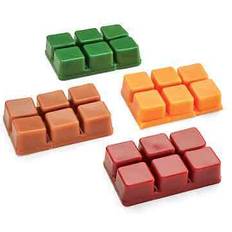 Multicolored Wax Melt Collections Etc Fall Scented Melts - Set of 4 - 5.500 x 5.200 x 3.400 - Multi Wax Melt