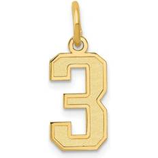 Yellow Charms & Pendants Quality Gold LSS03 14K Yellow Satin Number Charm