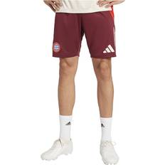 adidas Bayern München Træningsshorts Tiro 24 EU