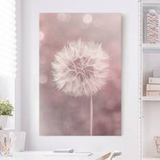 Rosa Bilder Impression Sur Toile Pissenlit Bokeh Rose Clair Bild