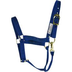 Blue Horse Halters Aime Imports Basic 2-Ply Halter with Snap Blue (Average)