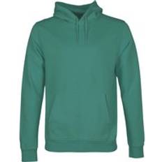 Colorful Standard Homme Pulls Colorful Standard Classic Organic Hood - Pine Green