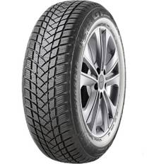 GT Radial 17 - Vinterdäck GT Radial WinterPro2 205/55 R17 95H 100A4951